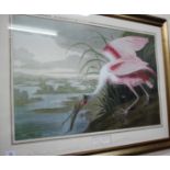 A DECORATIVE PRINT OF A ROSEATE SPOONBILL within a moulded gilt frame, the picture 56 x 89cm