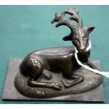 A SMALL POSSIBLY INDIAN BRONZE of a seated deer, mounted on a rectangular plate, 8.5cm wide overall