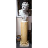 A PLASTER BUST OF A MALE HEAD AFTER THE ANTIQUE with white turned socle and all on faux marble