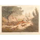 A SET OF FOUR AQUATINTS by Samuel Howett after Capt Thos. Williamson, tiger and elephant hunting