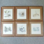 Six limited edition bird prints, some si