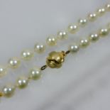 A Jersey pearl single strand necklace, with an 18 carat gold clasp,
