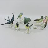 A collection of five Karl Ens porcelain bird groups,