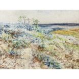 William John Caparne (British, 1856-1940) Clifftop flowers coloured pastels, unsigned 8¼ x 10½in. (