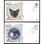 CATS - Two albums of Benham Cat covers (