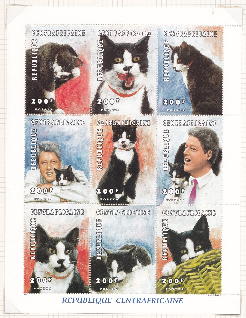 DOGS, CATS & HORSES, U/M collection in t