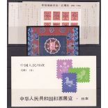 CHINA STAMPS : Various on stockpage; 1981 Japan Stamp Exhibition booklet, 1991 mini-sheet & 1996