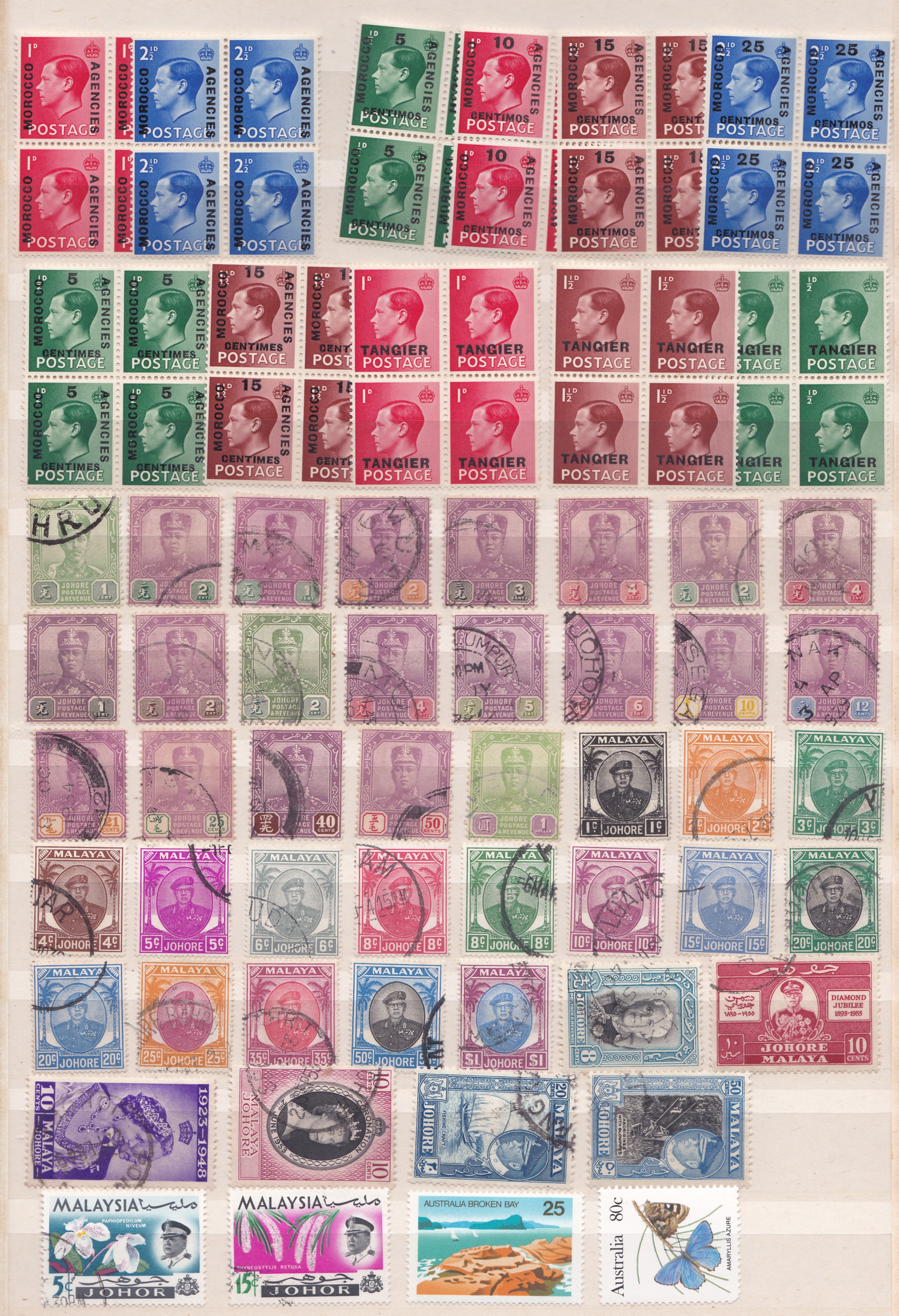 STAMPS : Commonwealth in brown stockbook mint and used selection including Hong Kong and Malaysia. - Image 3 of 3