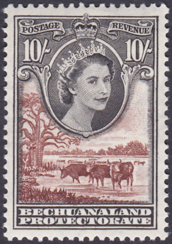 BRITISH COMMONWEALTH STAMPS, a few George VI, but mostly early QEII fine U/M selection in stockbook. - Image 13 of 13