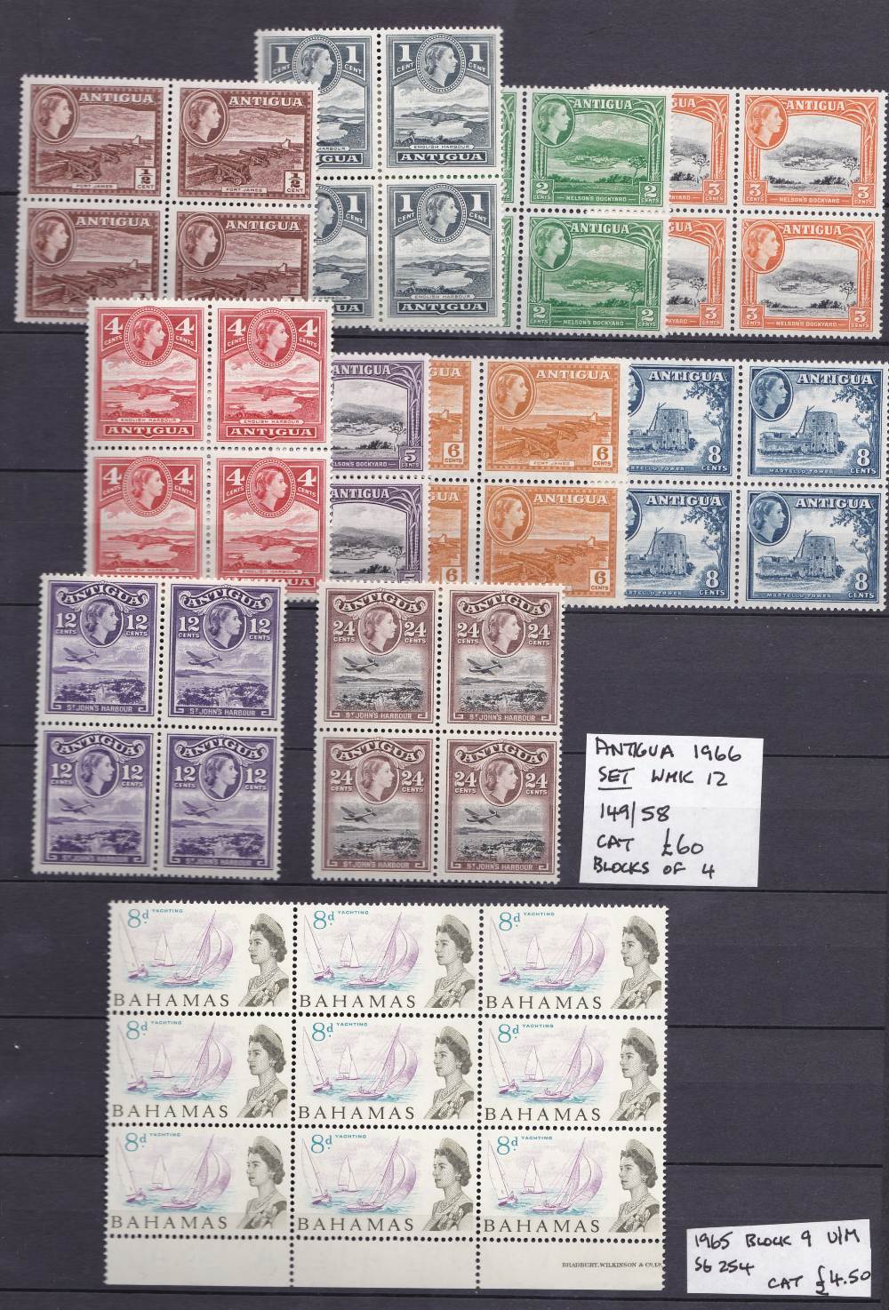 Commonwealth stamps, unmounted mint collection in blue stock book,