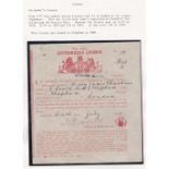 Licences, fascinating collection of various items including licenses for dog ownership, driving,