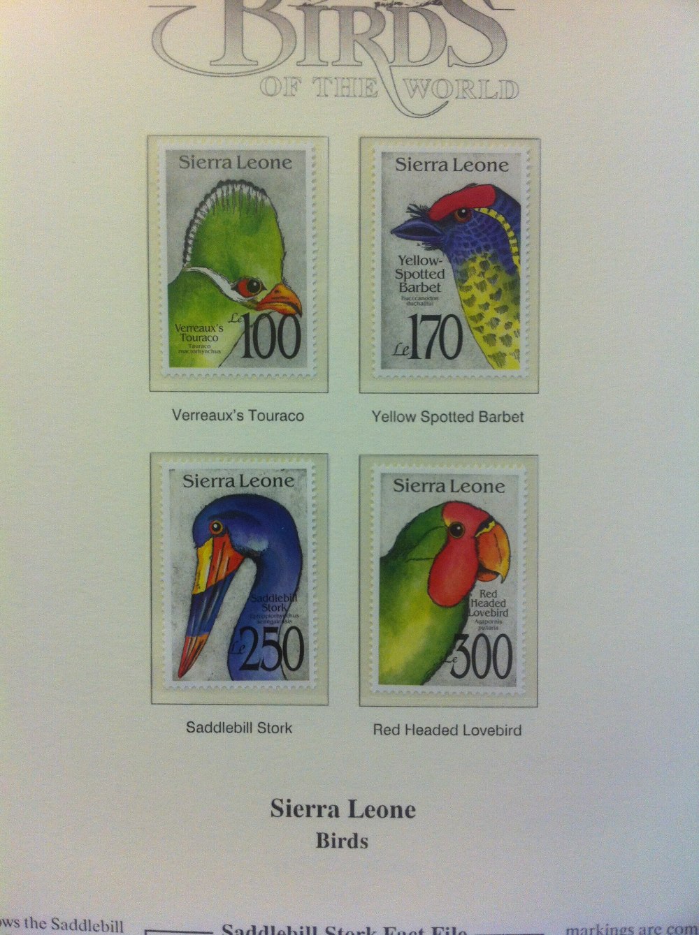 STAMPS : Birds collection of both stamps and covers in 5 albums, an attractive lot. - Image 4 of 4