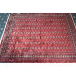 A Bokhara Fine Wool Floor Carpet - Full room size  - 300 x 450cm