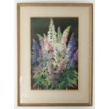 * JAMES GRAY RSW (SCOTTISH fl 1917 d 1947), DELPHINIUMS watercolour, signed ''Jas Gray'' 61cm x 40.