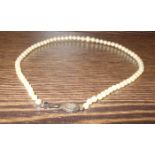 GRADUATED PEARL NECKLACE