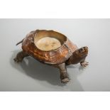 VICTORIAN TAXIDERMY TERRAPIN 
the shell set with a brass circular ashtray,
