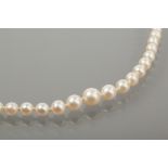 EARLY TO MID TWENTIETH CENTURY PEARL NECKLACE
with graduated spherical pearls, the largest pearl 8.