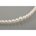 GRADUATED PEARL NECKLACE
the largest pearl 7mm diameter, the smallest pearl 3.