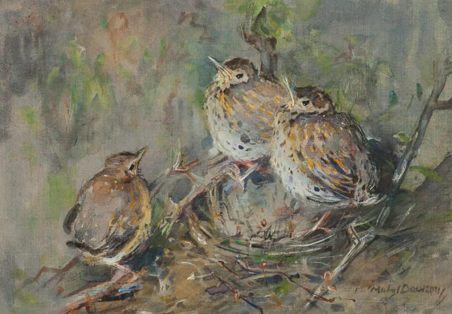 * MABEL DAWSON RSW (SCOTTISH 1887 - 1965), 
BABY ROBINS
mixed media on linen, - Image 2 of 2