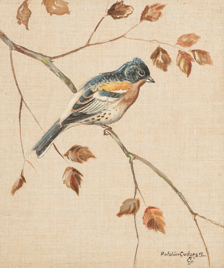 * RALSTON GUDGEON RSW (SCOTTISH 1910 - 1984),
BRAMBLE FINCH
watercolour on linen, - Image 2 of 2