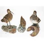 TAXIDERMY: A COLLECTION OF THREE STUFFED