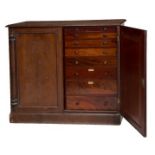 A WILLIAM IV PERIOD MAHOGANY TWO DOOR COLLECTOR'S CABINET, 
the moulded top above two panel doors,