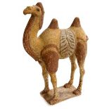 A FINE POTTERY MODEL OF CAPARISONED CAMEL, 
Tang Dynasty 618-907, standing four square, saddled,