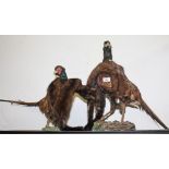 TAXIDERMY: Two stuffed pheasants, and a mink stole.