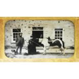 THE SMARMORE "WAR HORSE" - a photograph on glass,