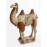 A FINE POTTERY MODEL OF CAPARISONED CAMEL, 
Tang Dynasty 618-907, standing four square,saddled,