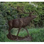 A LIFE SIZE BRONZE STUDY OF A STAG AT BAY, 
each antler with seven points,