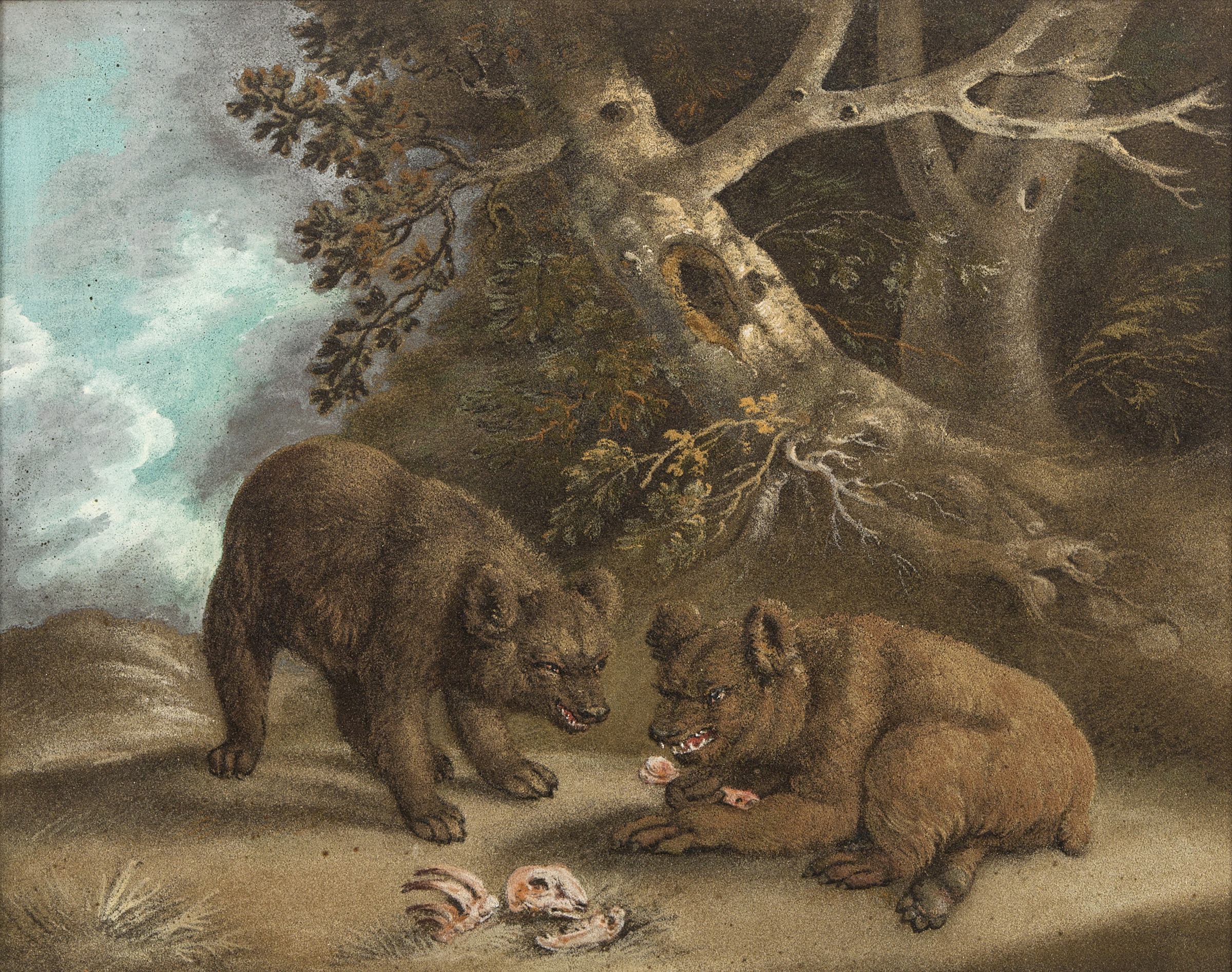 A RARE REGENCY PERIOD SAND PICTURE, depicting two snarling bear cubs at the edge of a wood, 18.