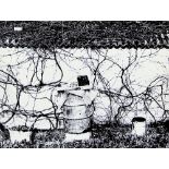 GIACOMELLI MARIO b. 1925 d. 2000 Senza titolo gelatin silver print (stampa ai sali d'argento) cm.