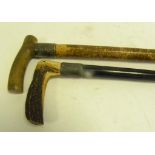 A VICTORIAN HORN HANDLED WALKING CANE WITH EMBOSSED SILVER FERRULE AND AN ANTLER HANDLED EBONY