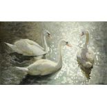 † ARTHUR WILSON GAY (1901-1958) MUTE SWANS  signed, watercolour, 39.5 x 66cm++In fine condition