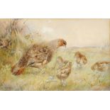 CHARLES HENRY CLIFFORD BALDWYN (1859-1943)  GREY PARTRIDGE AND YOUNG signed, watercolour, 29.5 x