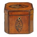 A GEORGE III SATINWOOD, HAREWOOD AND BOXWOOD TEA CADDY C1800  with shell paterae and trompe l'oeil