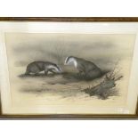 BRYAN M. CONWAY, BADGERS; OWLS, A PAIR, BOTH SIGNED, WATERCOLOUR