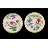 A PAIR OF RUSSIAN PORCELAIN BOTANICAL PLATES, MOSCOW, POPOV FACTORY, MID 19TH C 20.5cm diam,