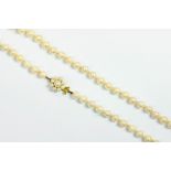 A CULTURED PEARL SINGLE STRAND NECKLACE, WITH CULTURED PEARL CLASP IN 9CT GOLD