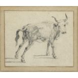 ATTRIBUTED TO PAULUS POTTER (1626-1654) STUDY OF A YOUNG BULL graphite over traces of red chalk,