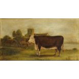 E F DAVIS  A HEREFORD COW  signed, oil on canvas, 24 x 44.5cm ++The varnish dirty but apparently