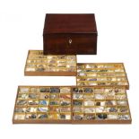A VICTORIAN MINERAL COLLECTION IN FITTED MAHOGANY BOX, LATE 19TH C the four trays containing over