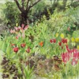 JENNY MATTHEWS - TULIP GARDEN, SIGNED, WATERCOLOUR