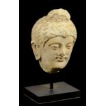 A GANDHARA STUCCO HEAD OF BUDDHA, 4TH-5TH CENTURY  12cm h (ex Alex Szolin, Nottingham) ++ Somewhat