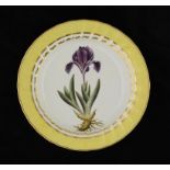 A DERBY CANARY YELLOW BORDERED BOTANICAL PLATE, C1795 23.5cm diam, painted mark, 216 and title