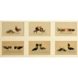 A SET OF SIX FEATHER PICTURES OF A COCK FIGHT, 19TH C  watercolour on card, 6.5 x 10.5cm, together