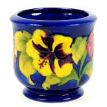 A MOORCROFT HIBISCUS JARDINIERE DESIGNED BY WALTER MOORCROFT, IMPRESSED MARKS, BLUE PAINTED INITIALS