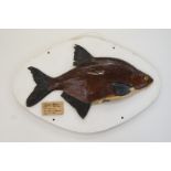 A mounted fish plaque