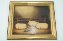 A framed print of a pig
